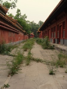 An unrestored section of the Forbidden City taken through one of the doors in the NE corridor.