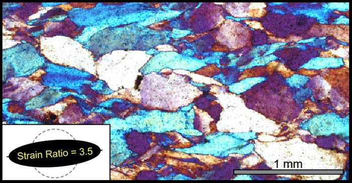 Micrograph of deformed quartz sandstone from the Blue Ridge Mountains.  Note that individual grains are generally longer in one direction, prior to deformation individual sand grains would have been approximately equant.  Grain shape analysis indicates a strain ratio of 3.5 to 1 for this sample.  The rock was vertically shortened and horizontally elongated.