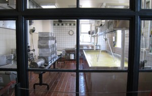 One of the products that Vermonters love to buy local are dairy products. Here is an example of a small cheese farm mixing the milk to prepare to turn it into curd and whey.  