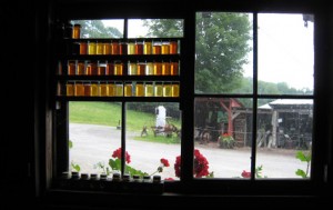 Morse Sugarfarms is a small local farm that sells pure 100% Vermont maple syrup and is one of the few farms that still does so in the state.  