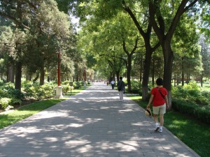 Jingshan Park is considered one of the most beautiful parks in Beijing. During the dynastic eras, it was reserved only for the emperor and his kin.