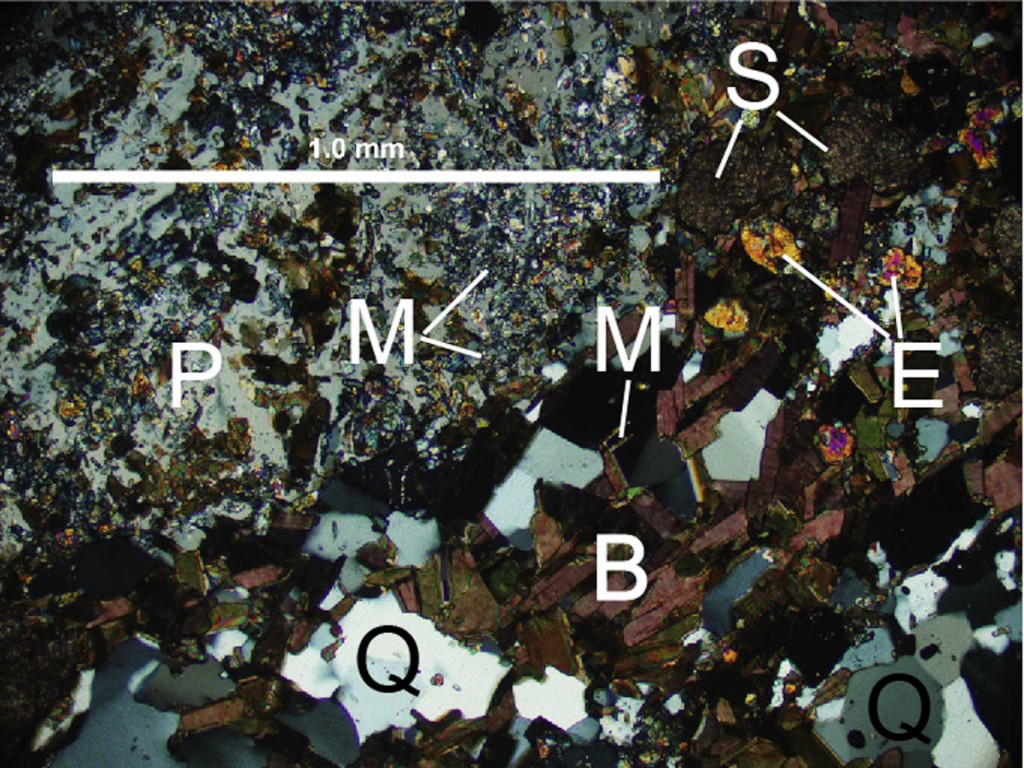 Ybg thin section