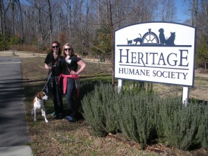 My social sorority volunteers a few Saturdays a semester at the Heritage Humane Society in Williamsburg.  My roommate and sorority sister, Amanda, and I got to walk some dogs on a warm, January Saturday!