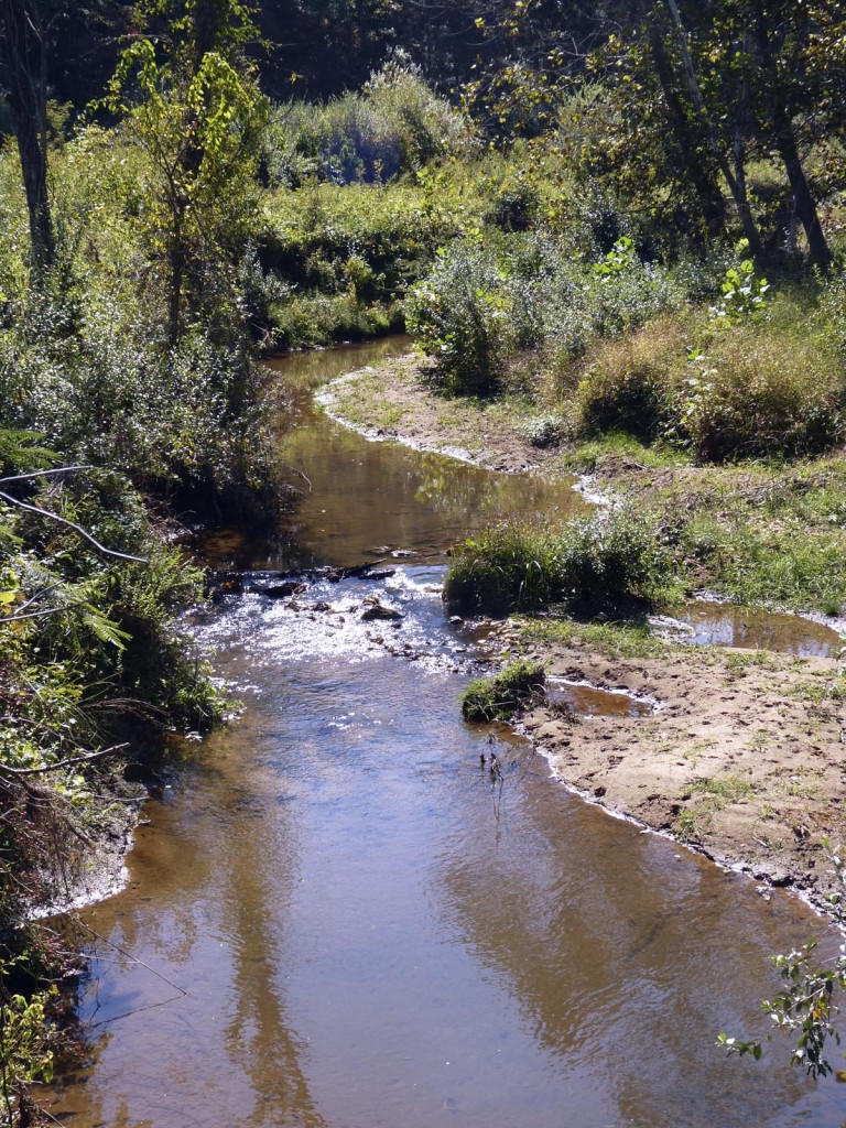 Ivy Creek in Albemarle County, Virginia.