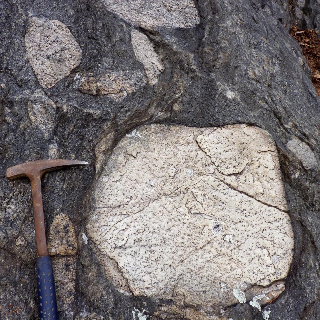 Large clasts of granite in Rockfish Conglomerate. Length of hammer is ~40 cm (16").