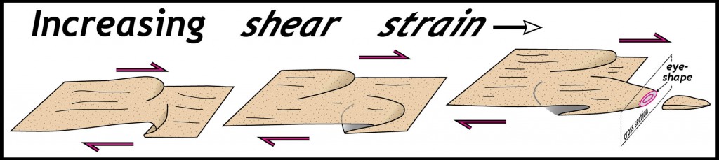 Schematic model illustrating the development of a sheath fold.  Note distinctive eye-shape in cross section normal to sheath axis.