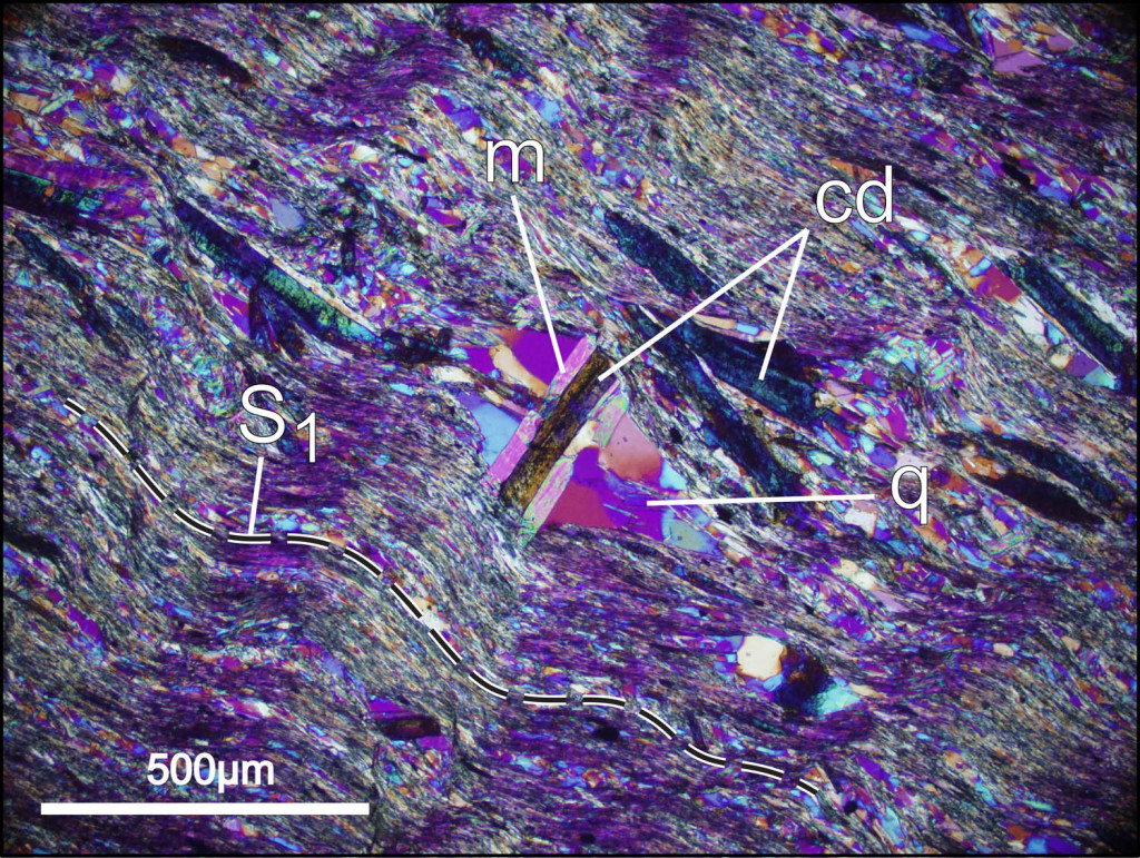 Close-up view in cross-polarized light with the gypsum plate inserted.