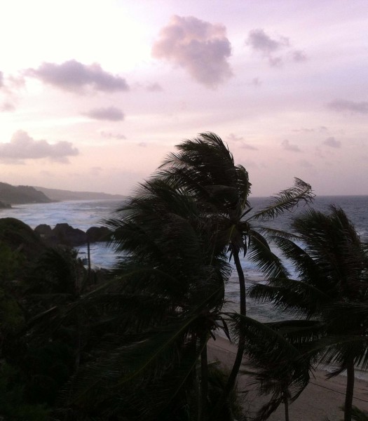 The trade winds freshen things up on Barbados' eastern coast.
