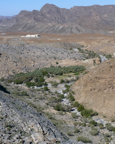 The desert landscape along Wadi Bani Ghafir in Oman, note the date palm grove.