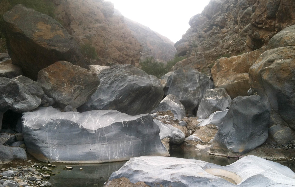 Huge limestone boulders (3 to 10 m) in the bed of Wadi Bani Ghafir in the Sidaq gorge. Photo by T. A. Johnson.