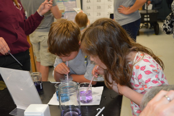 Kids blow bubbles in pH indicator, using the carbon dioxide in their own breath to simulate CO2-derived ocean acidification during April’s climate change lab.