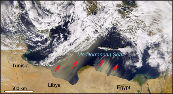 The Sirocco at work.  NASA imagery from the SeaWiFS Project, 5 February 2003. (http://oceancolor.gsfc.nasa.gov/FEATURE/IMAGES/S2003036110156.L1A_HROM.SaharaDust.jpg)