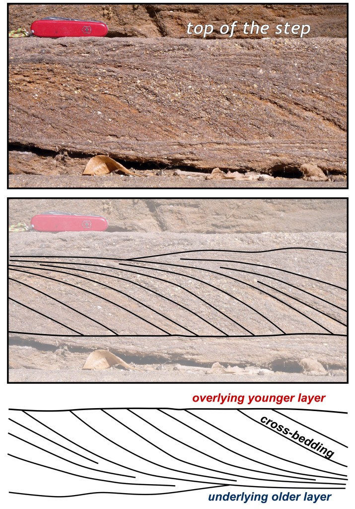 Cut block of sandstone that forms steps at the south entrance of Menokin. Note the well-developed cross-bedding and stratification (traced in the center image). The stone was laid ‘upside down’ such that the top of the stone block is the underlying older layer of sandstone. The bottom image shows the strata in their original ‘rightway up’ orientation. The cross-beds formed as flowing water transported sand (from left to right in the lower image) over a ripple.