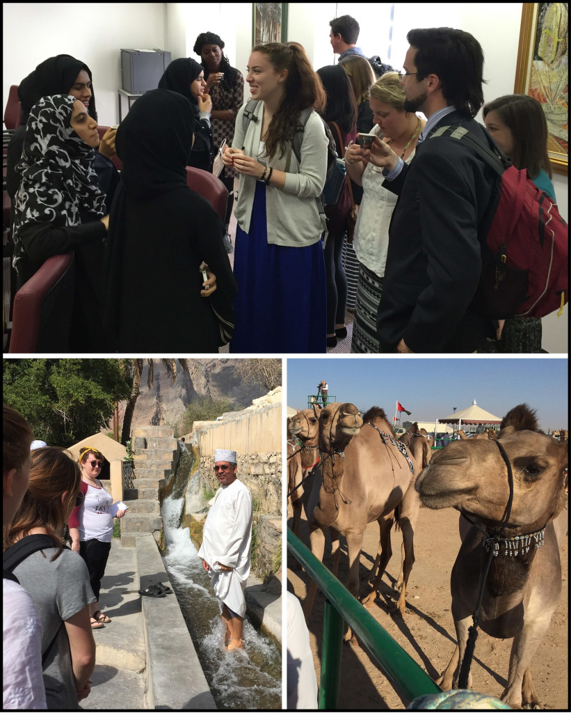 Top: meeting with students at Sultan Qaboos University. Lower Left: Dr. Abdullah al Ghafri in the flaj at Birkat al Mowz. Lower Right: Prize-winning camels at the Muzayanat al Ibl. 