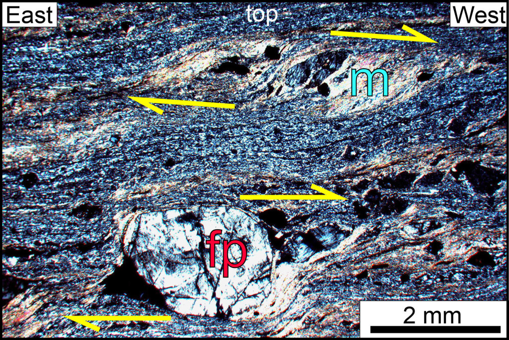 Micrograph of a Garth Run mylonite, Blue Ridge province, Virginia. Section is parallel to the lineation and perpendicular to the foliation. Note the top-to-the-west asymmetry, indicative of west-directed shearing. fp- feldspar porphyroclast, m- muscovite, a metamorphic mineral that crystallized during deformation. 