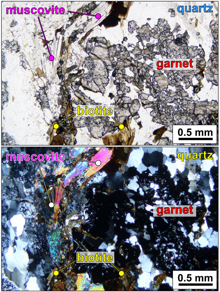 Micrograph illustrating metamorphic minerals in the Blue Ridge basement complex.