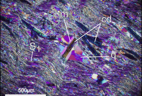 Close-up view in cross-polarized light with the gypsum plate inserted. cd- chloritoid, m- muscovite, q- quartz, S1 is the main foliation
