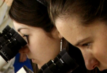 students studying a microscope