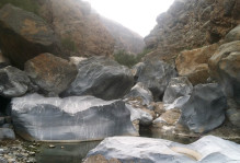 Huge limestone boulders (3 to 6 m) in the bed of Wadi Bani Ghafir in the Sidaq gorge. Photo by T. A. Johnson.