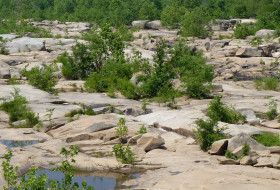 Expansive outcrops of Petersburg Granite exposed in the old channel of the James River, south of Belle Isle.