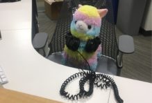 Stuffed Animal with headphones at the Reeder Media Center help desk