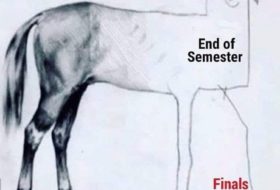Drawing of a horse with labels of start of semester, end of semester and finals, where the quality of the drawing decreases as you move from start to finals