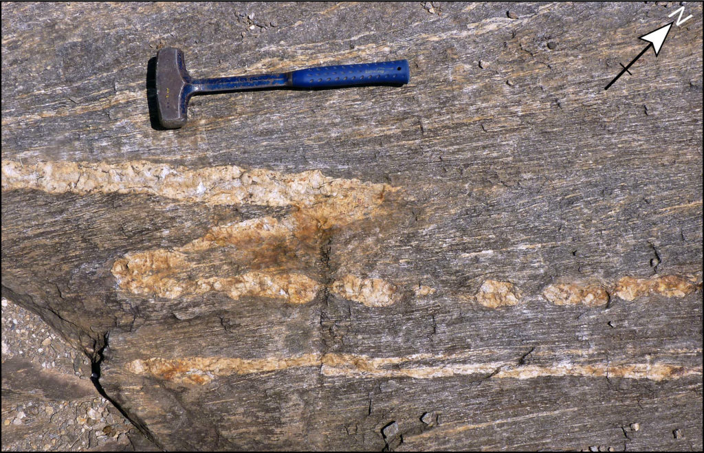 Photo of outcrop with folded and boudinaged pegmatite dike.