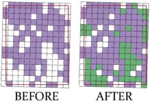Before and after view of the quadrangle divided into a grid of 180 boxes, color coded purple (data gathered in 2019 trip) and green (data gathered in this trip).