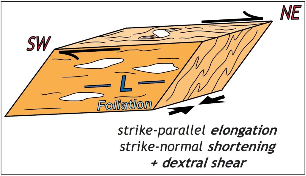 Conceptual strain model showing strike-parallel elongation, strike-normal shortening + dextral shear