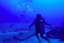 A scuba diver under water near the ocean floor, with bubbles and sea life swimming above.