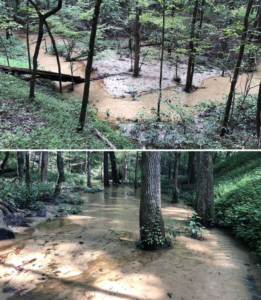 Two photos of the creek through a wooded area.