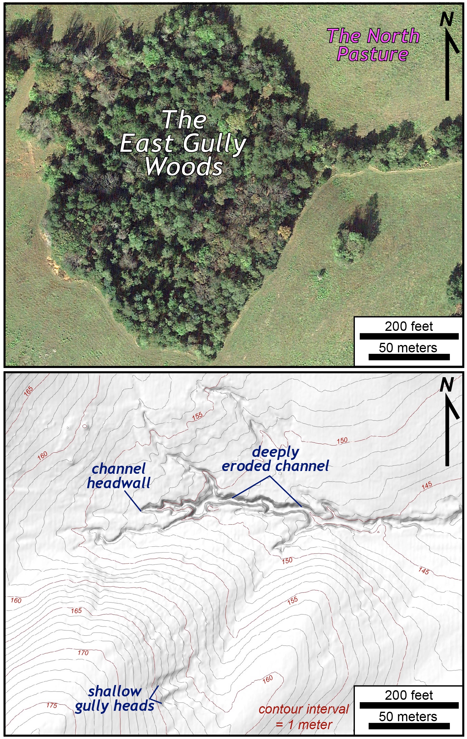 Aerial photo and topographic map of the East Gully. Identifiers include The East Gully Woods, channel headwall, deeply eroded channel and shallow gully heads