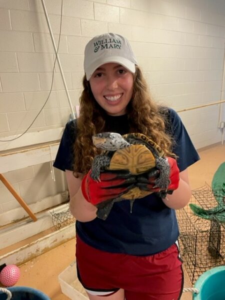 A William & Mary student holds a diamondback terrapin wearing gloves.