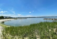 A photo depicting a sandy beach, grasses and water in a small bay.