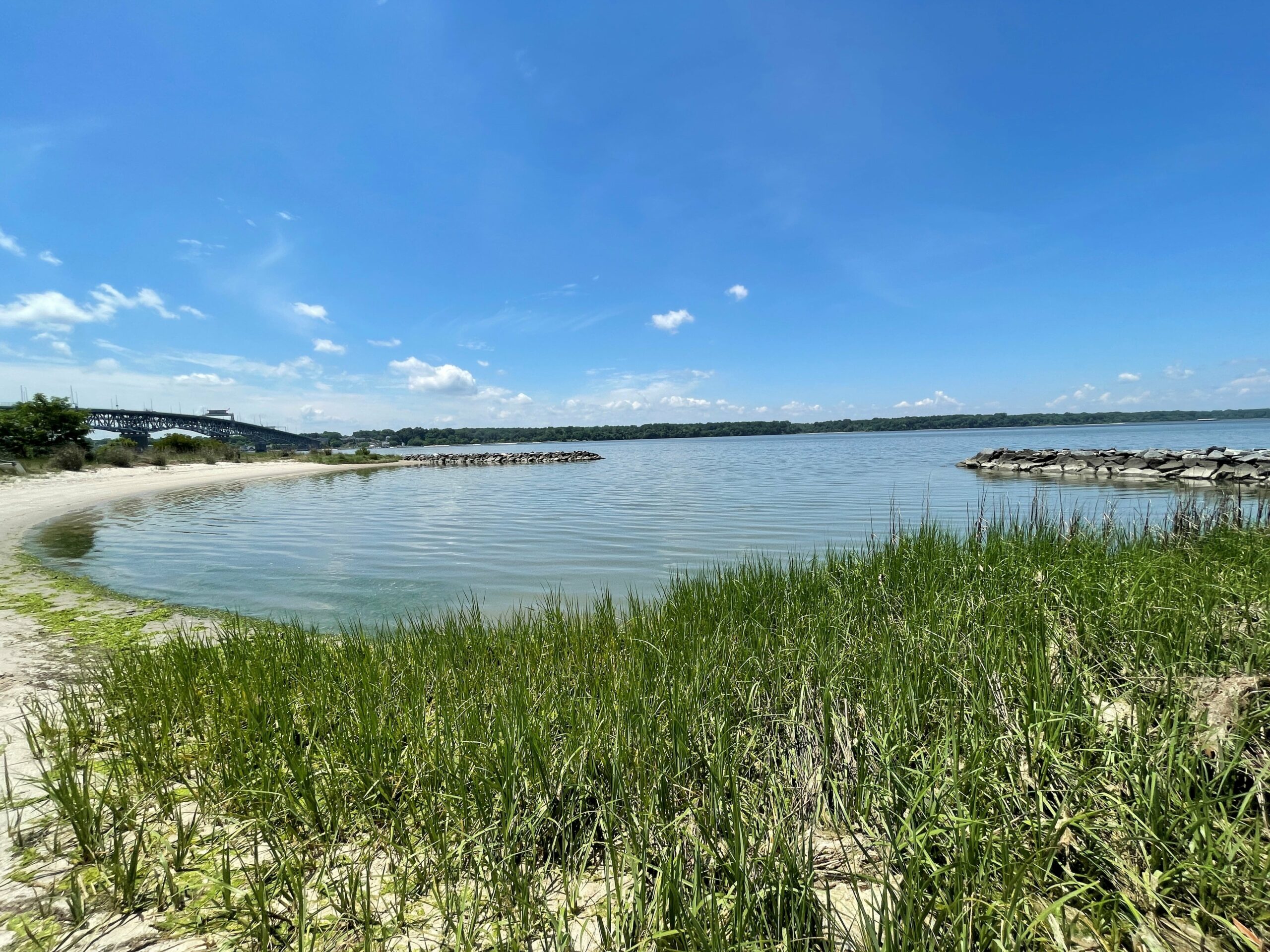 Student Summer Research Spotlight: Living Shorelines - The William & Mary  Blogs