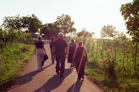 Five people walking along a pathway between green trees, grasses and vines, with the sun low in the sky.