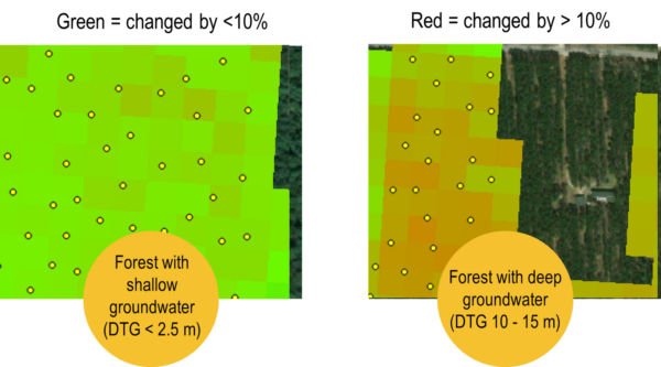 Two graphics for comparison. A green graphic with two labels: "Green = changed by <10%" and "Forest with shallow groundwater (DTG < 2.5m)." A graphic with more red with the labels: "Red = changed by >10%" and "Forest with deep groundwater (DTG 10-15 m)"