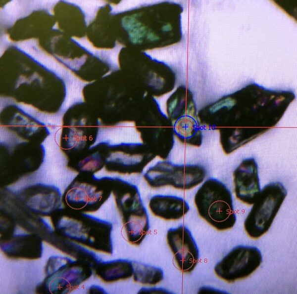 Mounted zircon grains with spots to be analyzed 