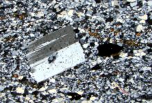 Microscopic image of sample NJ-14