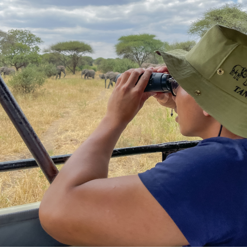 Sean looking through binoculars from a vehicle at elephants in the not-so-distant background