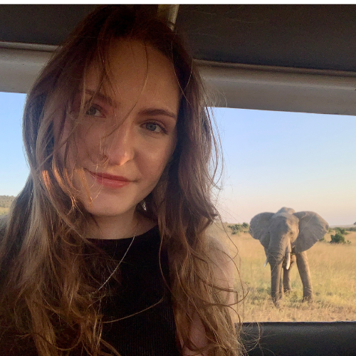Selfie of a person with an elephant visible through the window behind them
