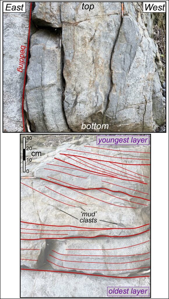Outcrop photos from New Canton with illustrated lines to indicate the direction of the bedding and that the youngest layers are on the west side of the formation